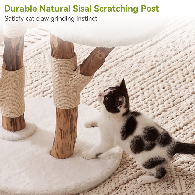 59 inch Solid Wood Cat Tower dimensions