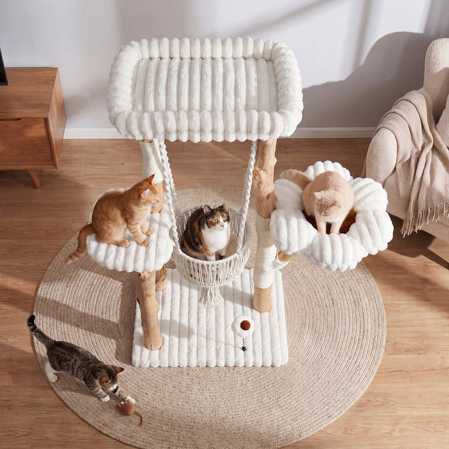 51 inch Solid Wood Cat Tree dimensions