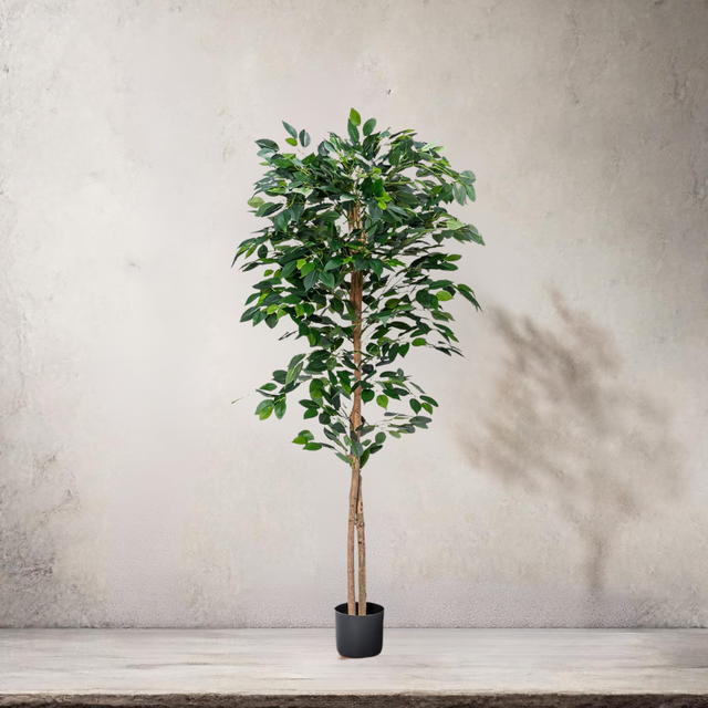 artificial ficus tree, fake ficus tree indoor, tall faux ficus plant, 6ft artificial fig tree with planter, lifelike ficus decor, faux potted tree for home, artificial plants for bedroom, office fake plants, no maintenance ficus, tropical home decor, boho faux greenery