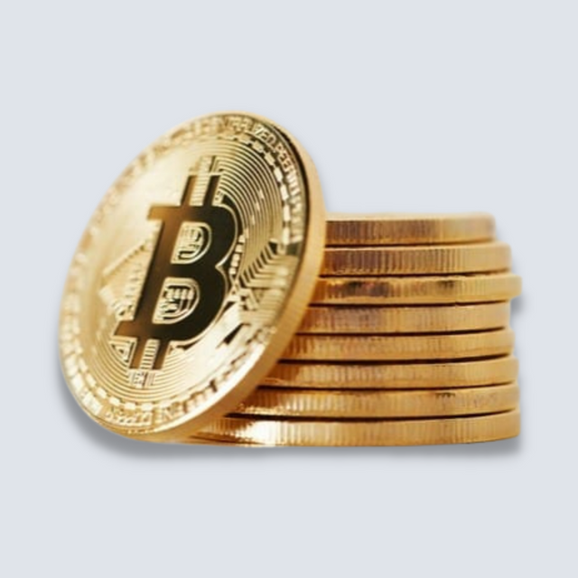 Bitcoin Coin Souvenir